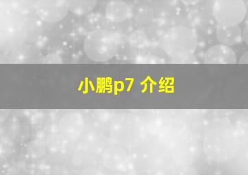 小鹏p7 介绍